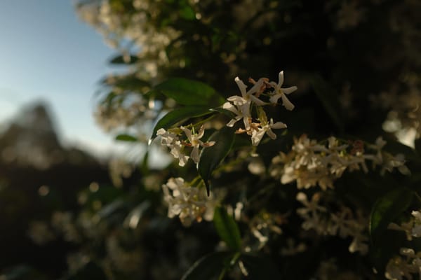 Shortlist 004: Spring/Summer